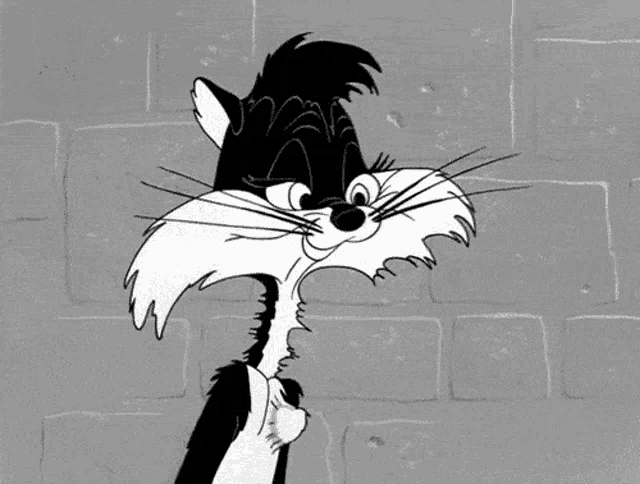 a black and white drawing of a cat with a long whiskers