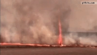 Fire Cyclone GIF - Fire Cyclone Forest Fire GIFs