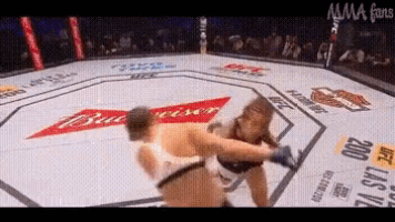 two women are fighting in a boxing ring with a budweiser logo on the floor