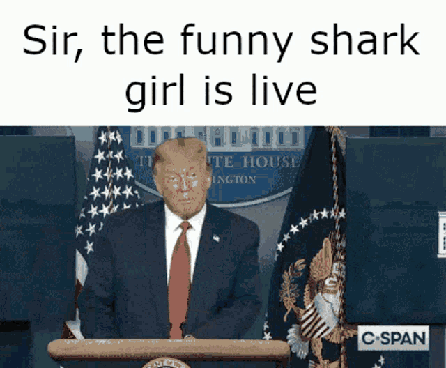 donald trump giving a speech in front of a white house flag with the caption sir the funny shark girl is live