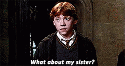 Ron Weasley Sister GIF - Ron Weasley Sister What GIFs