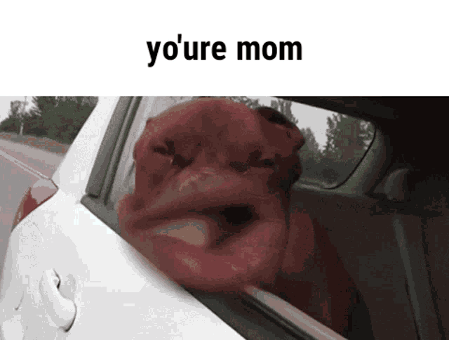 a dog sticking its head out of a car window with the words yo 're mom written above it