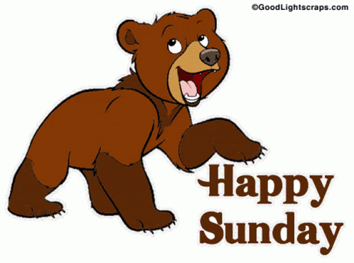 Happy Sunday Sunday GIF - Happy Sunday Sunday Bear GIFs