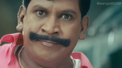 Vel Surya Tamil Movie Vadivelu Reaction GIF