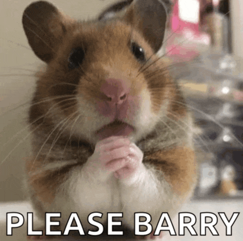 a hamster is praying with the words please barry written below it