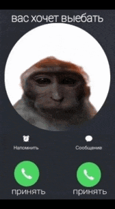 a picture of a monkey talking on a phone with russian writing on the bottom
