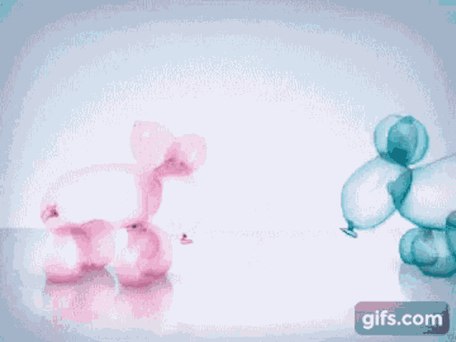 a pink and a blue balloon are kissing each other on a white surface .