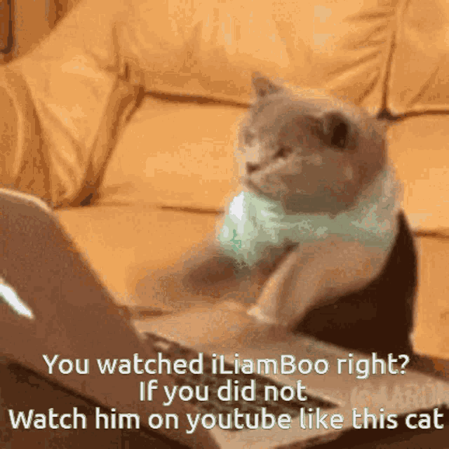 a cat is sitting in front of a laptop with a caption that says " you watched iliamboo right if you did not "