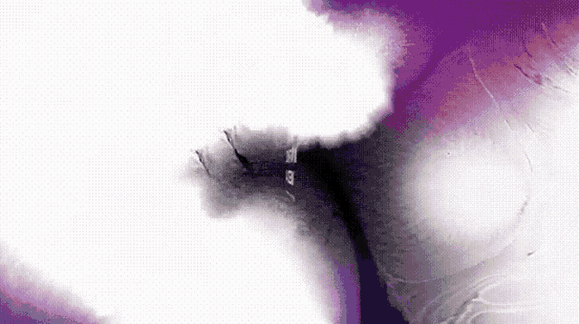 a close up of a purple and white background with a few dots