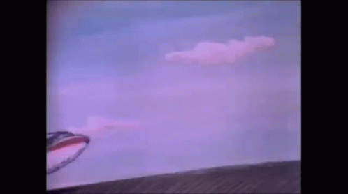 Living Airplane American Airlines GIF