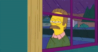 Ned Flanders Unamused GIF