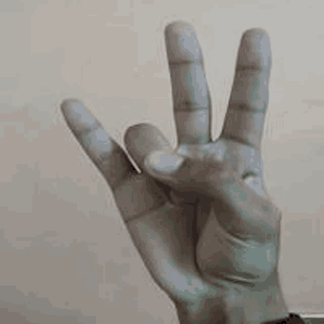 a person is making a peace sign with their hands .