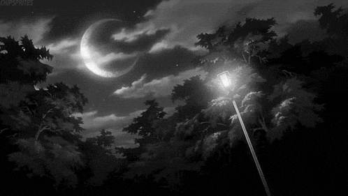 a black and white photo of a street light in a dark forest with a crescent moon in the background .