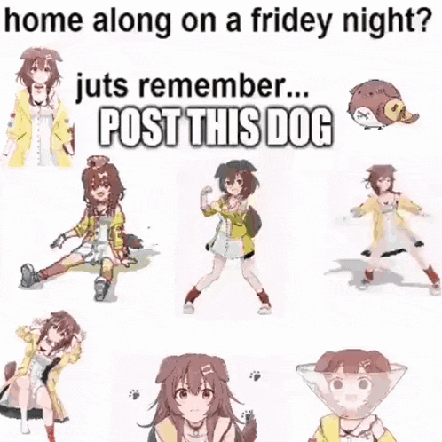 a picture of a girl with a dog on her head and the caption home along on a fridey night