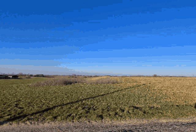 a grassy field with a blue sky and a dirt road