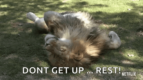 a lion is laying on its back with the words " dont get up ... rest " written below it