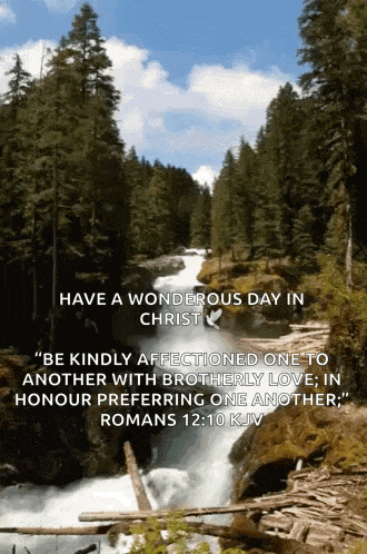 a picture of a waterfall with a quote from romans  12:10 kjv