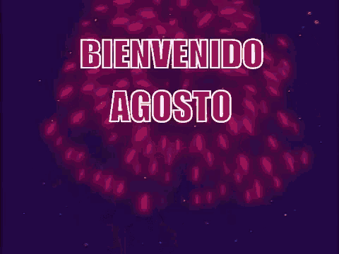 a cartoon of lisa simpson watching fireworks with the words bienvenido agosto