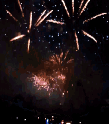 a large firework display is being watched by a crowd