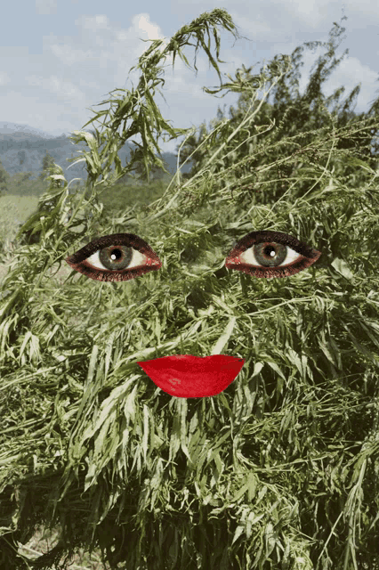 a woman 's face is made out of leaves and has a red lip
