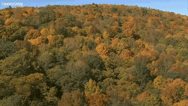 Aerial View Berkshire Mountains GIF - Aerial View Berkshire Mountains Valleys GIFs