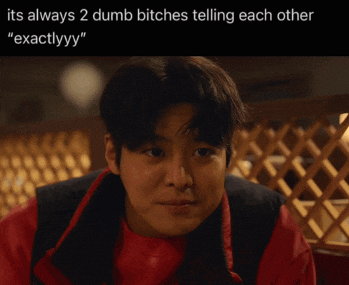 a picture of a man with a caption that says " its always 2 dumb bitches telling each other "