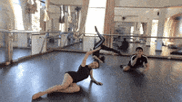 a group of people are doing exercises in a dance studio .