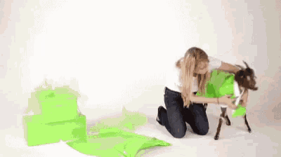 a woman is kneeling next to a goat wrapped in green paper .