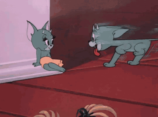 Tom Cat Kitty GIF - Tom Cat Kitty Evil GIFs
