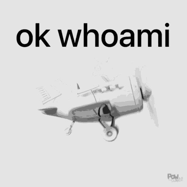 a plane with the words ok whoami written on it