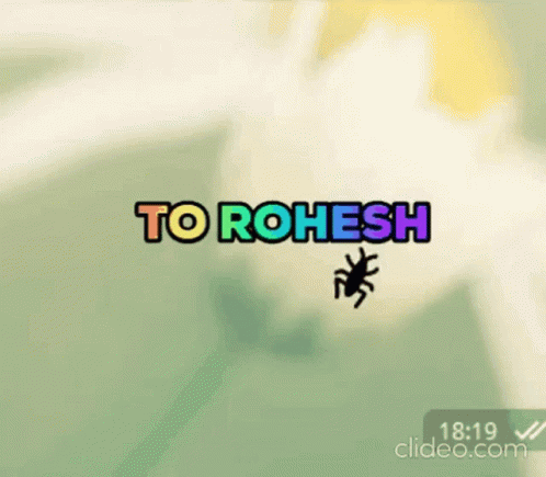 To Rohesh Bug GIF - To Rohesh Bug Colorful GIFs