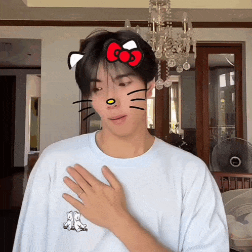 a man wearing a hello kitty t-shirt with a bow on his face