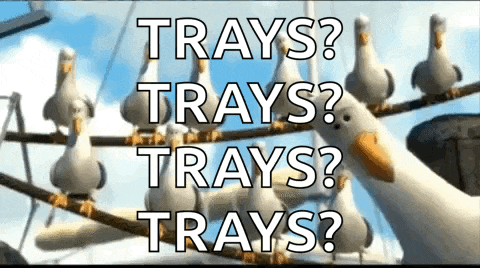 seagulls sitting on a wire with the words trays trays trays