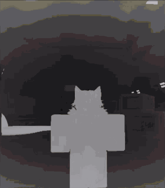 a white cat in a dark room with a fence in the background