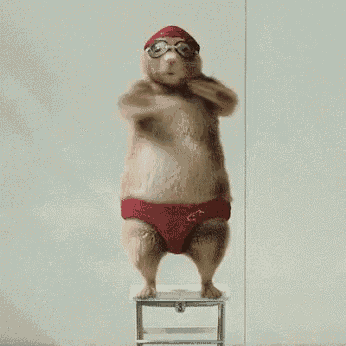 a hamster wearing red swim trunks and goggles is standing on a stool .