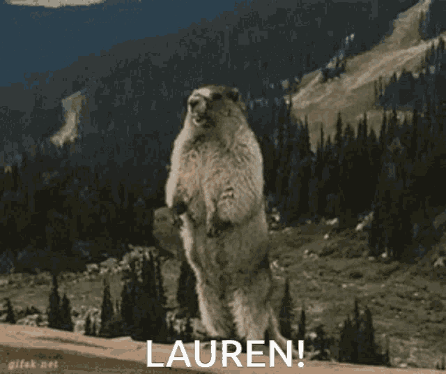 a ground squirrel standing on its hind legs with lauren written in the corner