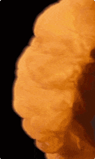 a close up of a large orange explosion on a black background