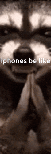 a picture of a raccoon with the words iphones be like