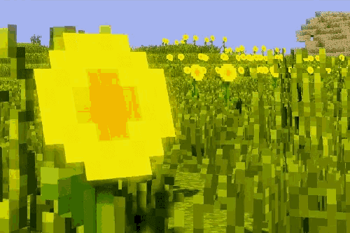 a yellow flower is in the middle of a grassy field