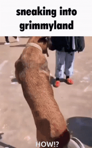 Grimmyland Sneaking GIF - Grimmyland Sneaking Secret Opening GIFs