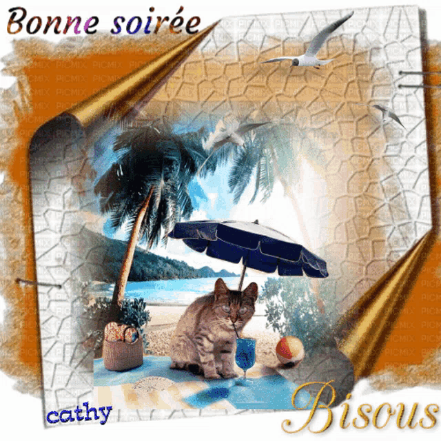 a picture of a cat sitting under an umbrella with the words bonne soiree bisous below it