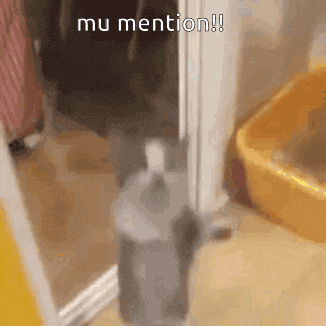 a cat is standing next to a bottle of soap in a bathroom with the words mu mention written on the bottom .