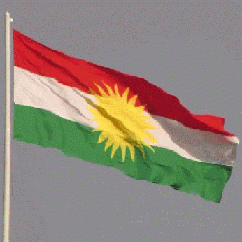 Kurdish Flag Kurds GIF