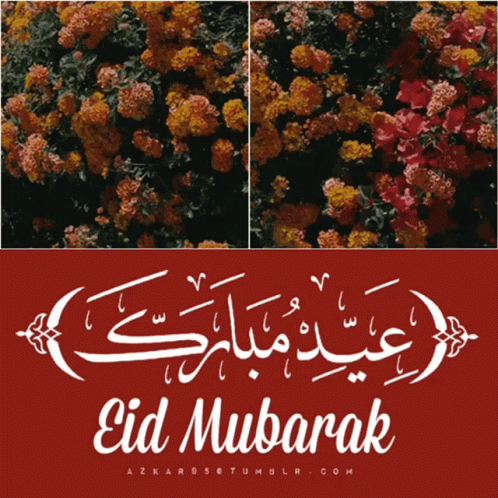 Eid Mubarak Flowers GIF - Eid Mubarak Flowers Azkar GIFs