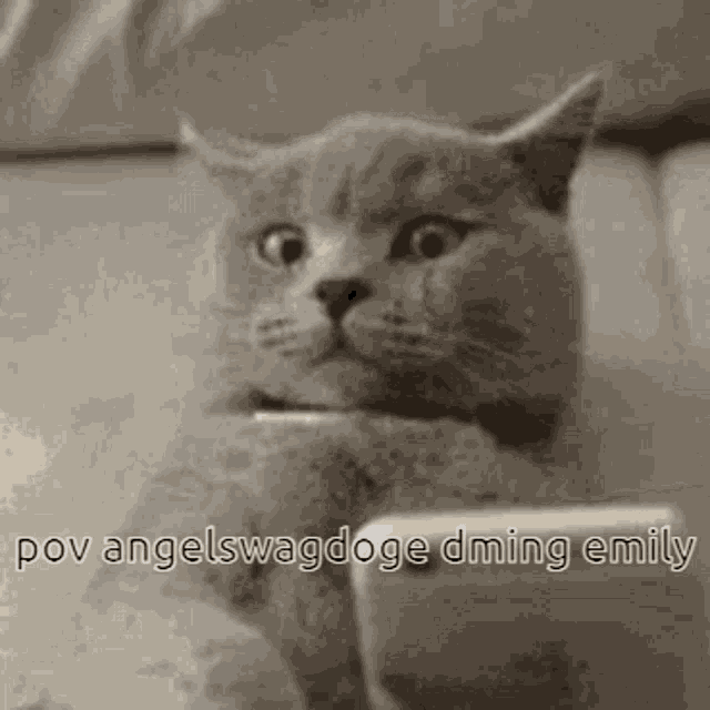 Angelswagdoge Bloody GIF