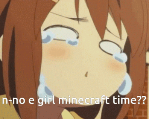 No Minecraft GIF - No Minecraft Cry GIFs