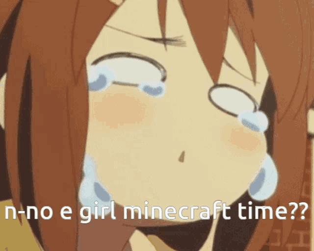 a girl is crying with the words " n-no e girl minecraft time " written below her