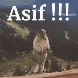 a groundhog is standing on its hind legs in front of a mountain and a sign that says asif !!!