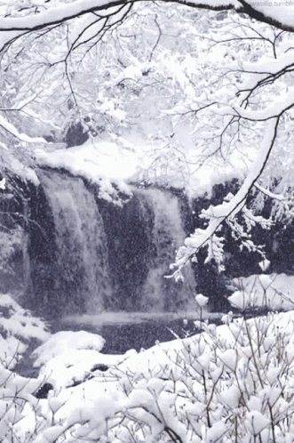 Waterfall Winter GIF - Waterfall Winter Snow GIFs