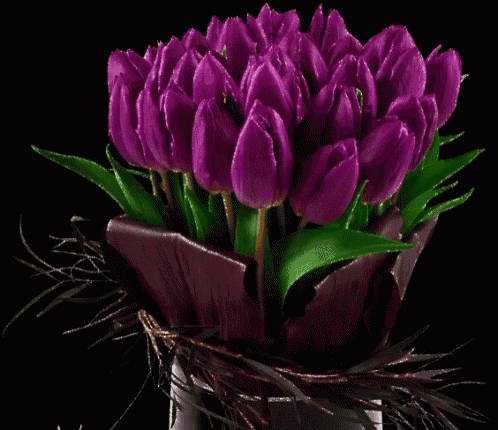 a bouquet of purple tulips with green leaves in a vase